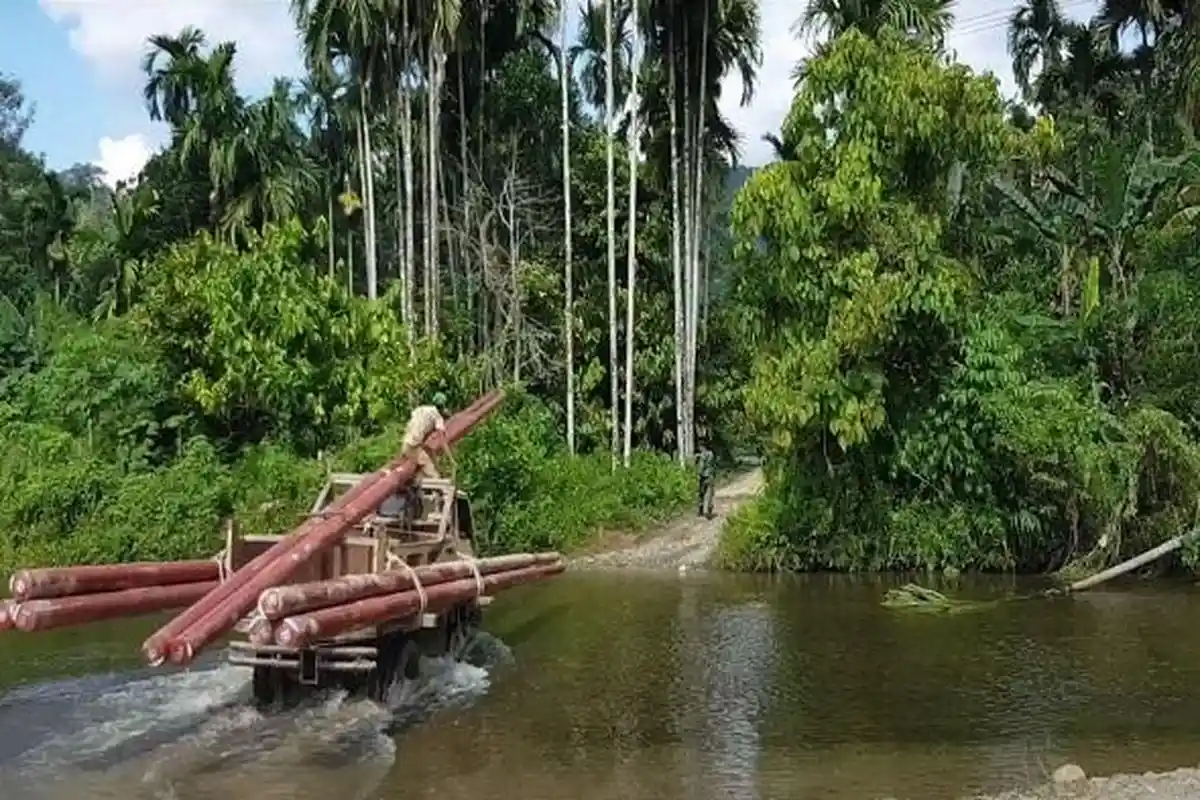 PLN Ajukan 3 Triliun PMN 2025 Untuk Bangun Kelistrikan Daerah Terpencil