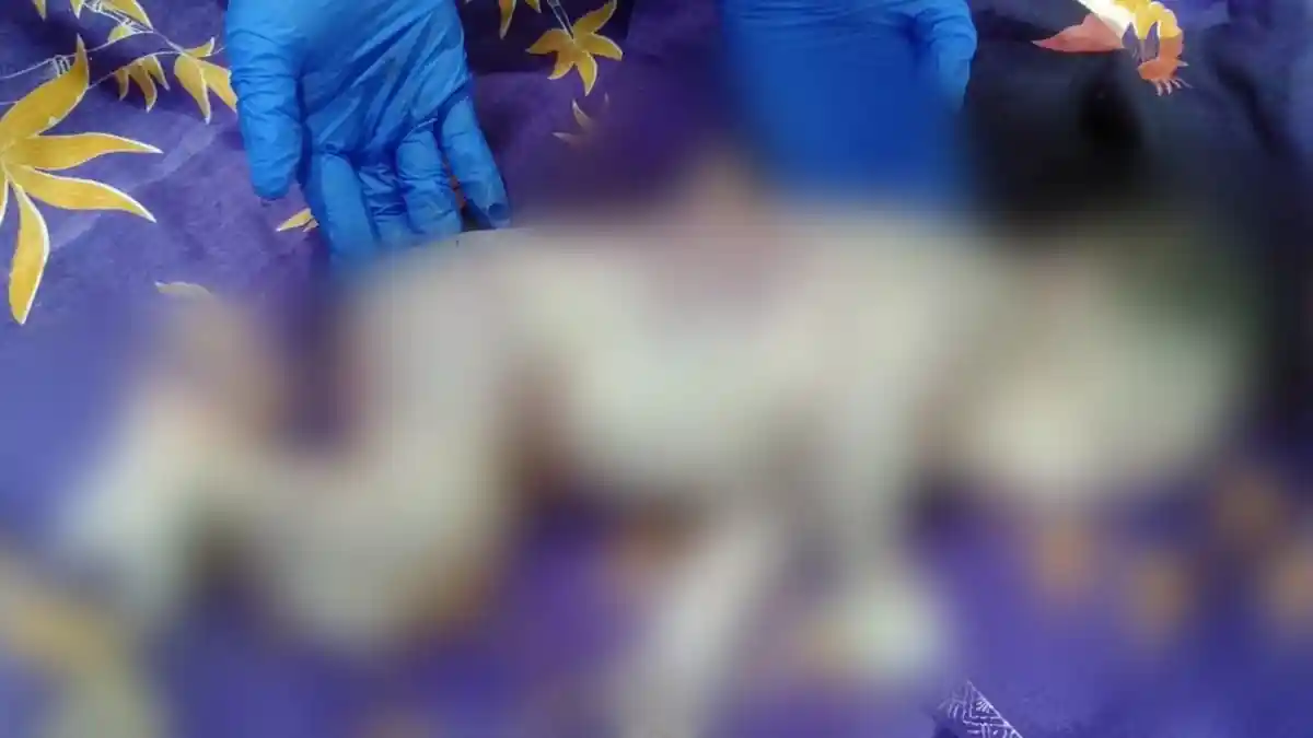 Bayi Tanpa Identitas yang Ditemukan di Kawasan Perkebunan Teh Ingrup Simalungun Meninggal Dunia