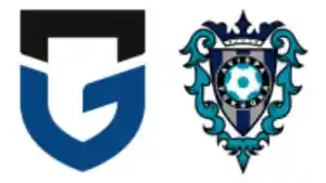 Gamba-Osaka-vs-Avispa-Fukuoka.jpg