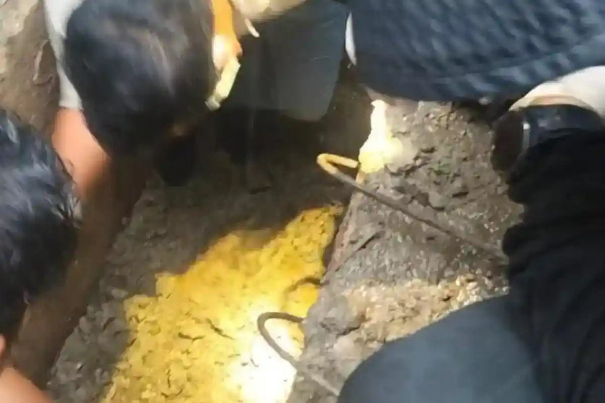 Alasan Sebenarnya Gembul Nekat Bunuh Istri Pegawai Pajak, Pura-pura Periksa Dapur