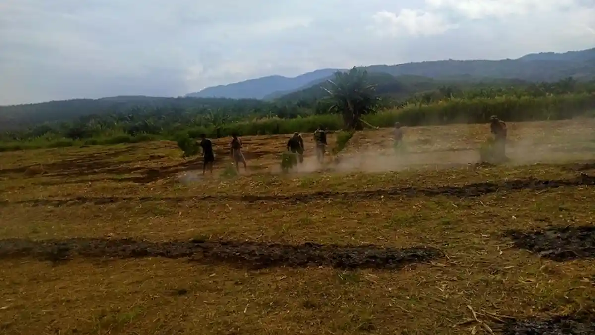 Diduga Sengaja Bakar Lahan, Seorang Warga Diamankan, Dandim 0108 Agara: Hentikan Budaya Membakar