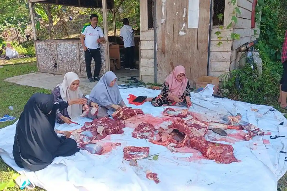 Dokter Hewan DTPHP Sulbar Temukan Cacing di Hewan Kurban di Mamuju