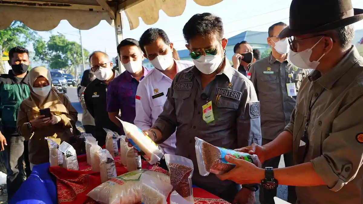 Kunjungi Bandung, Mentan SYL: Tiada Hari Tanpa Tanam dan Panen Padi