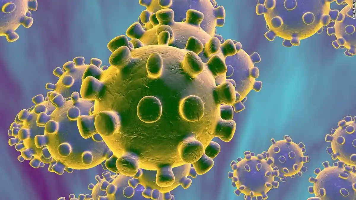 Peneliti Duga Virus Corona China Berasal dari Ular yang Dijual di Pasar