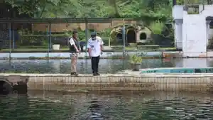 IKAN-DEWA-BUPATI-KUNINGAN.jpg
