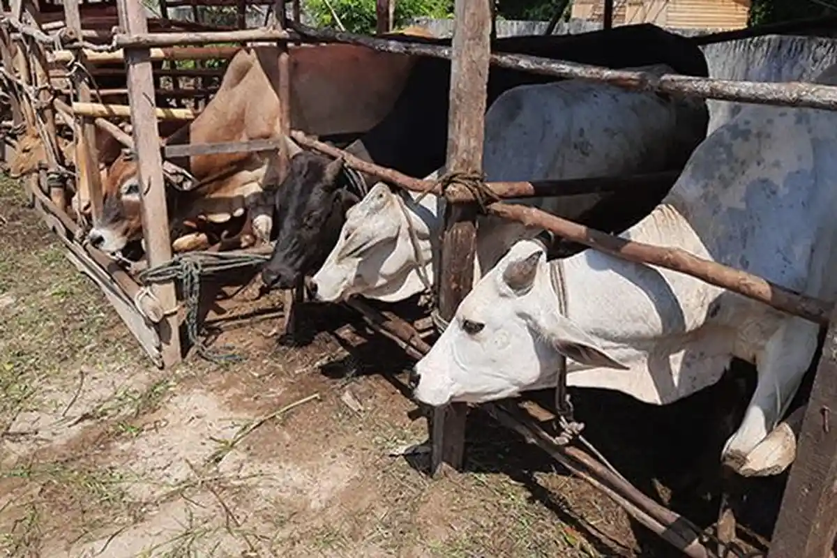 Yang Boleh dan Tidak Boleh Dilakukan Saat Hari Tasyrik 11, 12 dan 13 Dzulhijjah