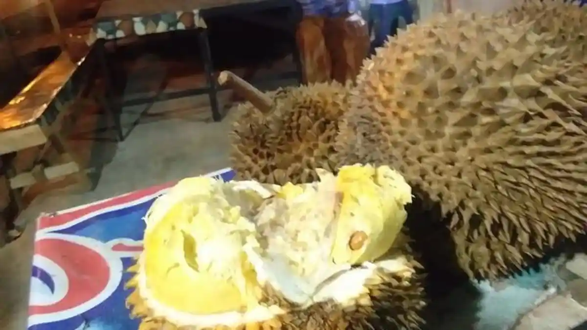 Nikmatnya Legit Durian Musang King di Lhokseumawe, Mau Coba?