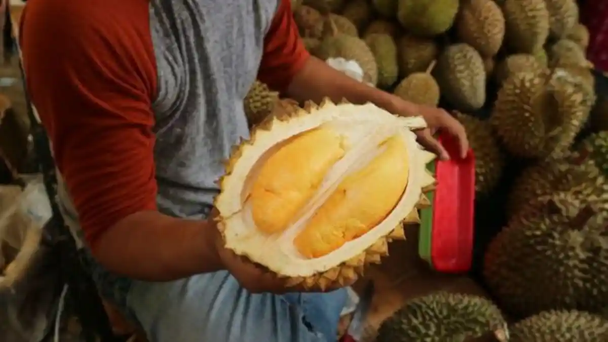 Meski Enak, Ternyata Durian Terlarang Bagi 6 Orang dengan Penyakit Ini