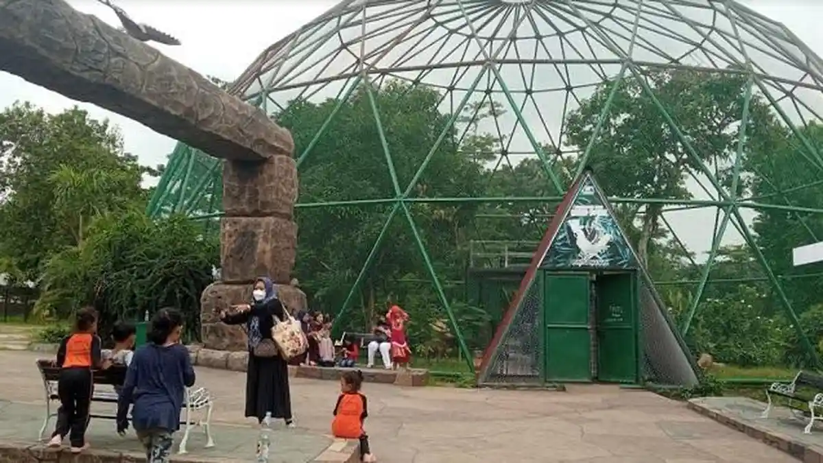 Adakah Tiket Khusus Saat Libur Nataru di Taman Margasatwa Mangkang?