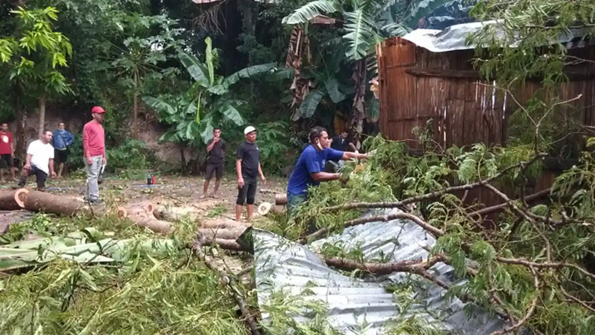 3 Rumah di Labuan Bajo Tertimpa Pohon Akibat Hujan Deras dan Angin Kencang Hari Ini 