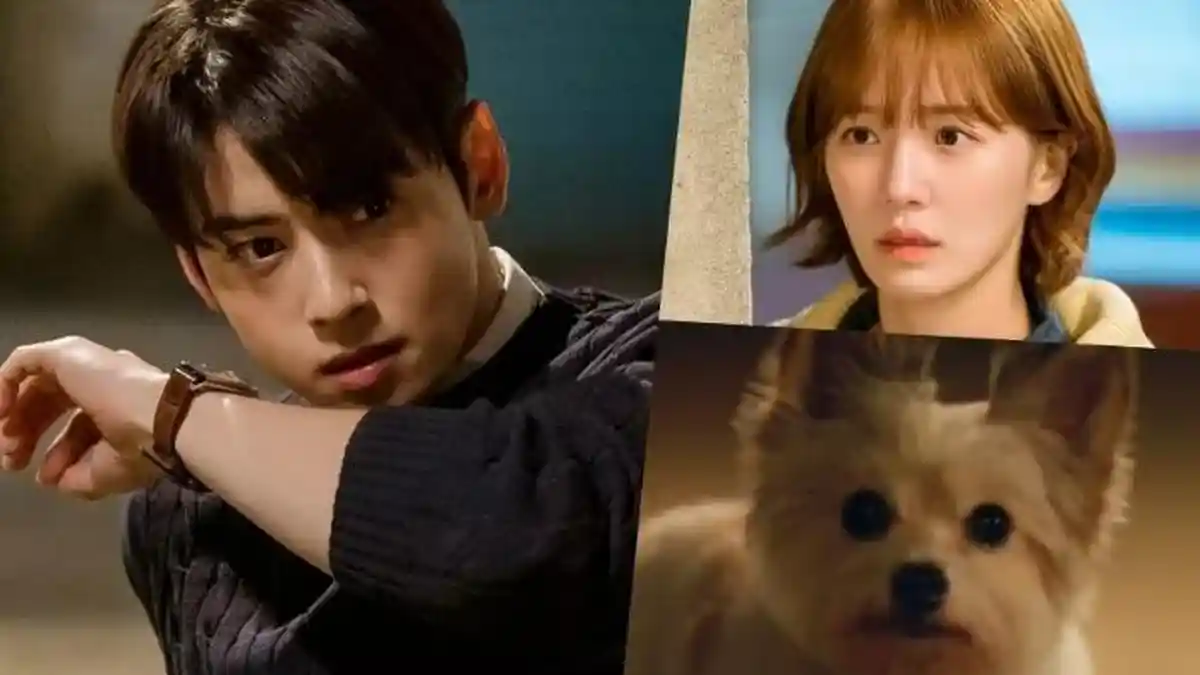 Drakor A Good Day To Be A Dog Mendapat Rating 2.8 Persen di Episode Perdana, Berikut Spoilernya