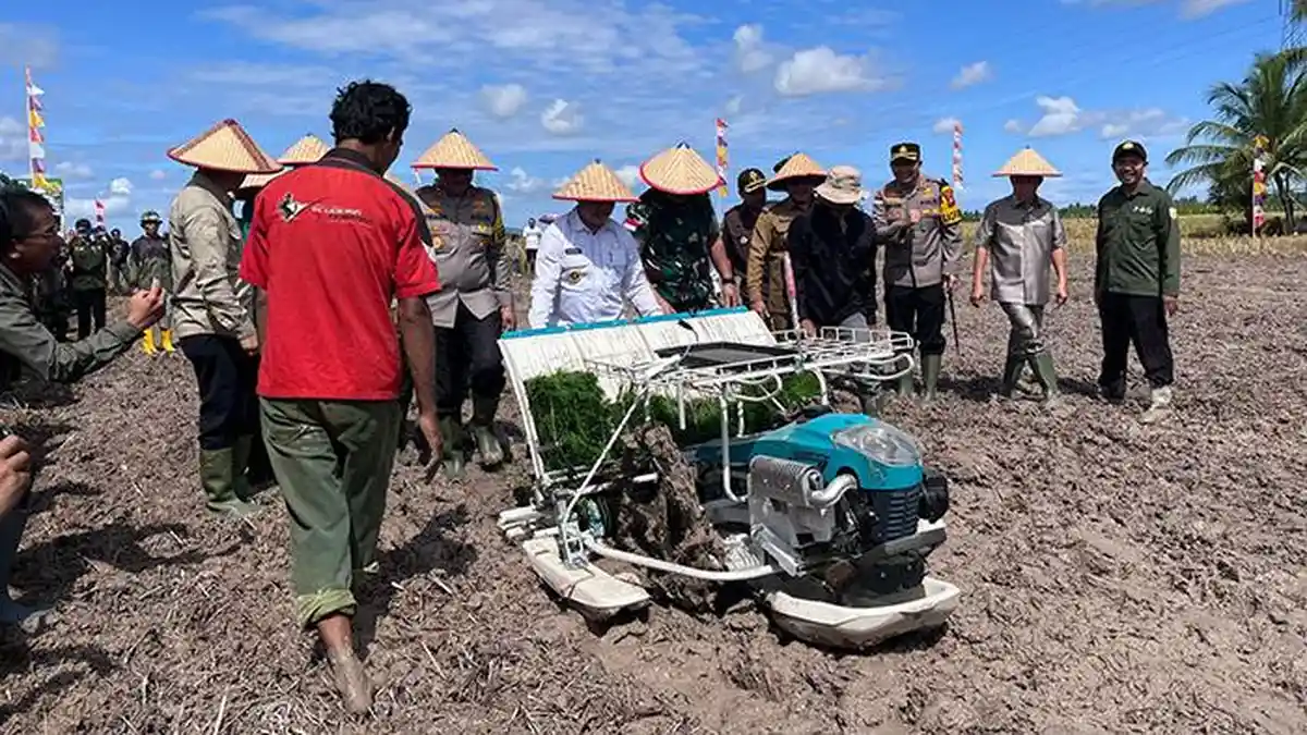 Ria Norsan Bakal Tambah Burung Hantu di Sambas Atasi Persoalan Tikus