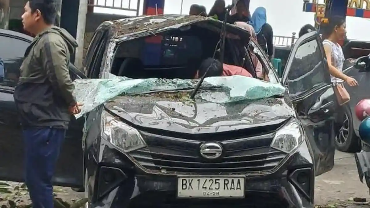 Satu Unit Mobil Terparkir di Penatapan Berastagi Ringsek Tertimpa Pohon Tumbang