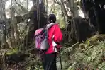 gunung-buntu-karua-ditutup.jpg