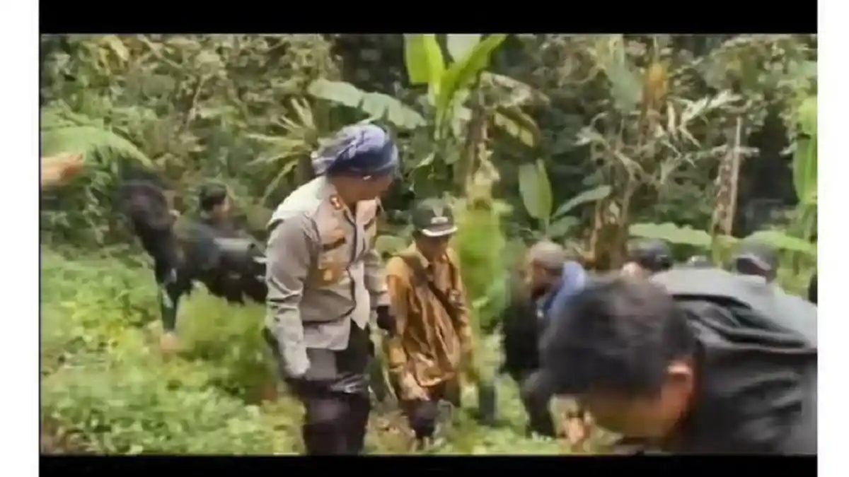 PENGAKUAN Petani Ladang Ganja Lereng Semeru, Dapat Bagian Rp4 Juta Tiap Panen, Diajari Cara Tanam