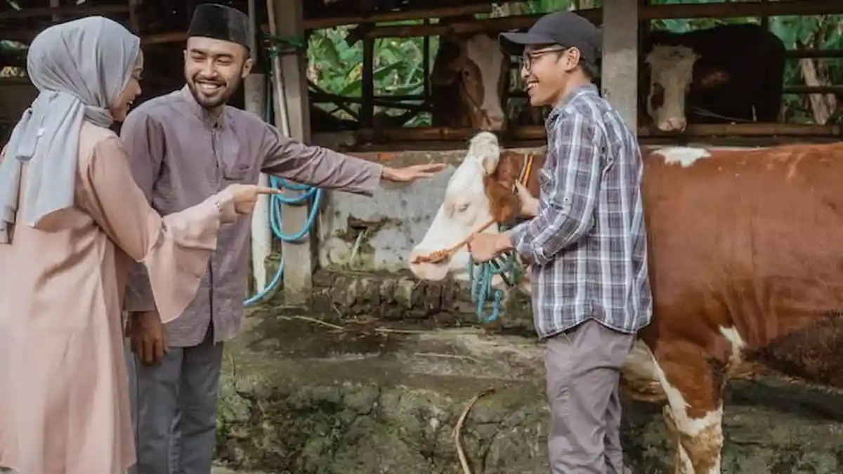 Inilah Tips Cara Memilih Hewan Kurban yang Sehat Menurut Dosen UGM untuk Hari Raya Idul Adha 2025