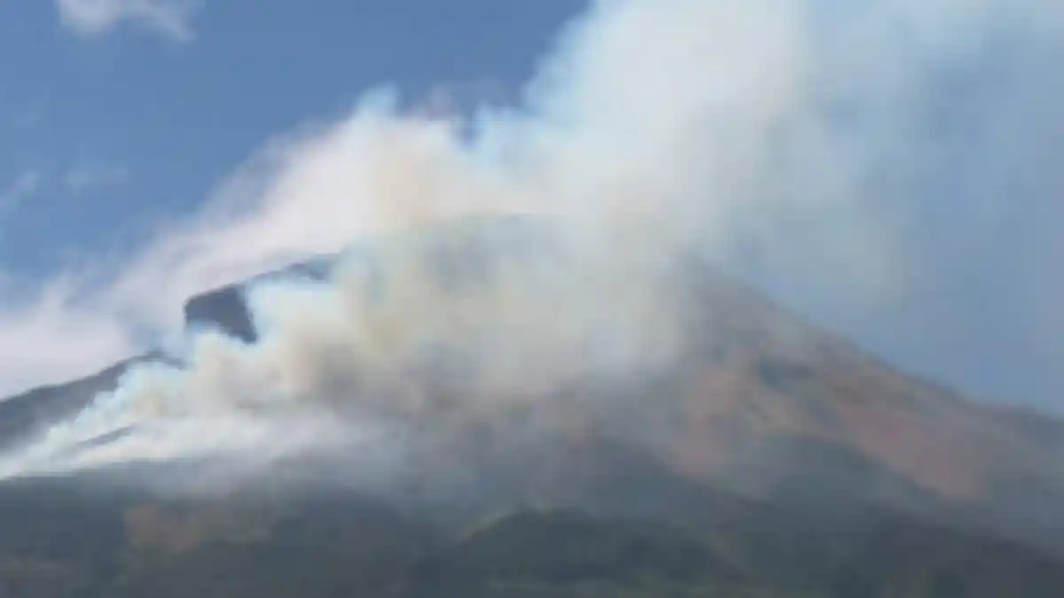 Jalur Pendakian Gunung Sindoro Ditutup Akibat Kebakaran