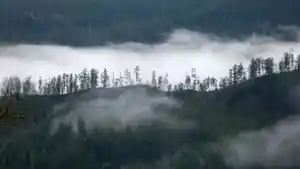 Kawasan-Gunung-Leuser.jpg