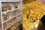 tumpukan-emas-batangan-milik-zhang-qi.jpg