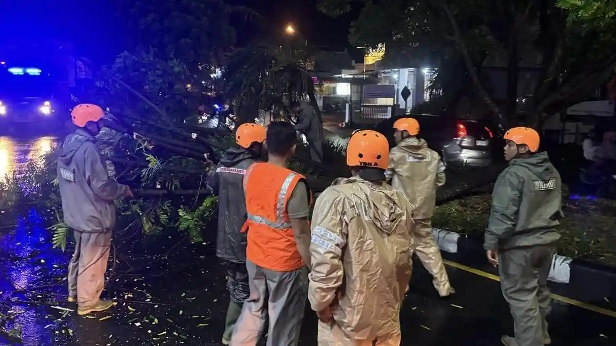 Badai di Manado Sebabkan Pohon dan Dinding Panjat Tebing Roboh