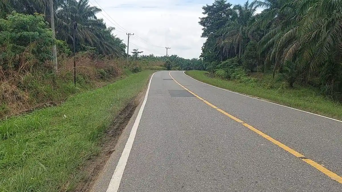 Jalan Nasional di Tebo Ditambal, Pengendara Keluhkan Masih Ada Lubang