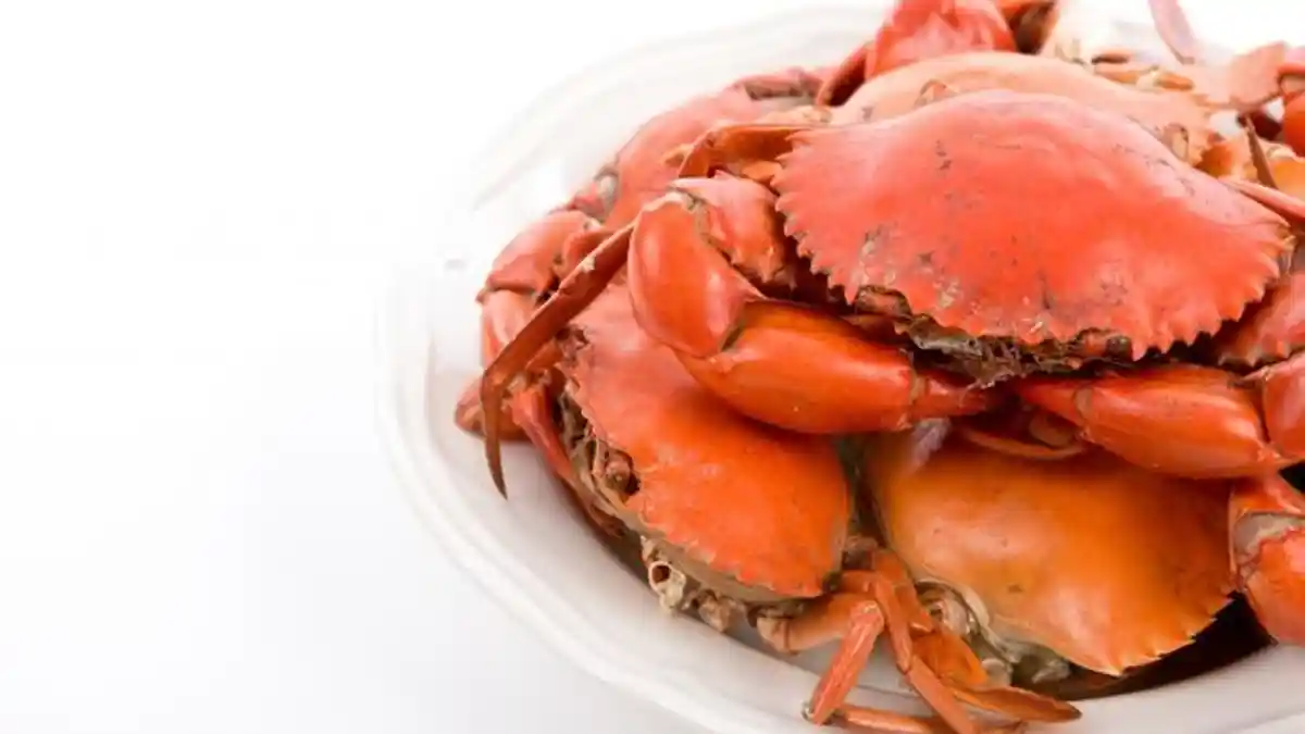 Kerap Merasa Pusing Setelah Makan Kepiting? Simak Penjelasannya