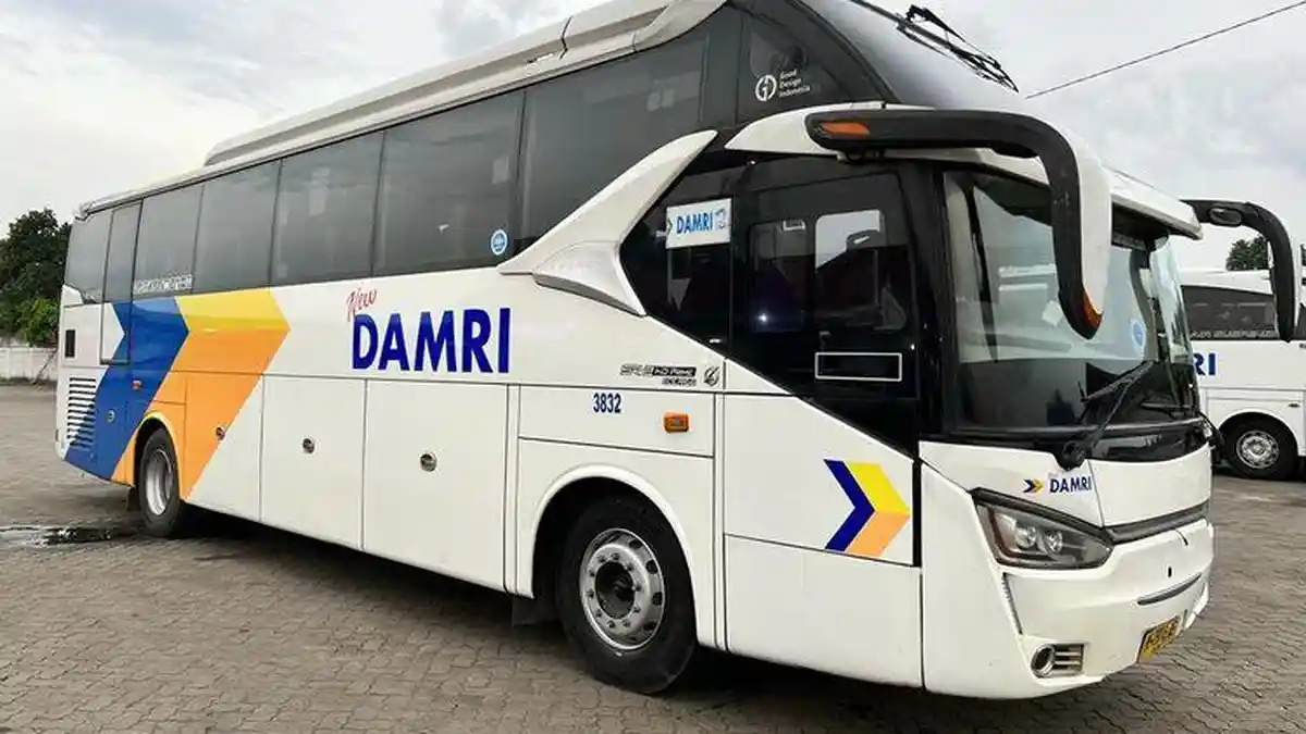 Perum DAMRI Buka Lowongan Kerja untuk Lulusan SMA/SMK, Cek Posisi dan Cara Daftarnya di Sini