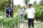Pj-Gubernur-Sulbar-temui-petani-Sampaga-Mamuju.jpg