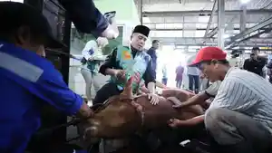 Erwin-saat-memotong-sapi-kurban.jpg