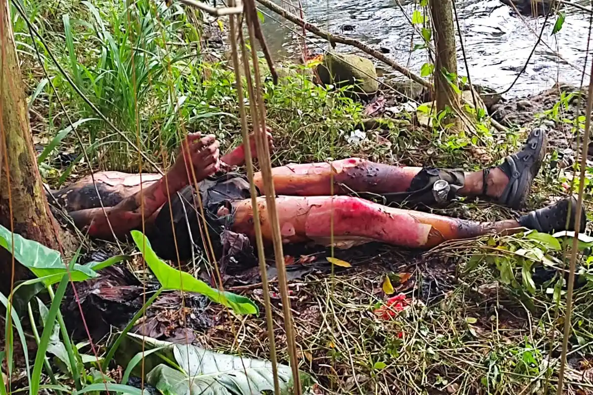 Ojol Asal Denpasar Bali Nekat Membakar Diri di Hutan Undip Tembalang, Motif Masih Gelap