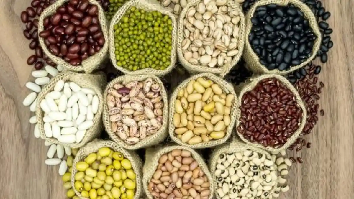 Baik Untuk Diet, 4 Jenis Kacang-kacangan ini Mampu Turunkan Berat Badan Dengan Cepat