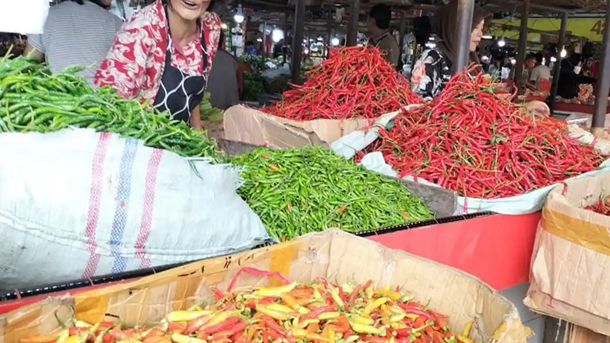 Update Harga Cabai di Kota Jambi Hari Ini, Harga Turun Karena Pasokan Banyak