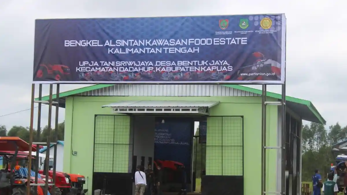 Dukung Food Estate, Kementan Maksimalkan Lahan di Dadahup