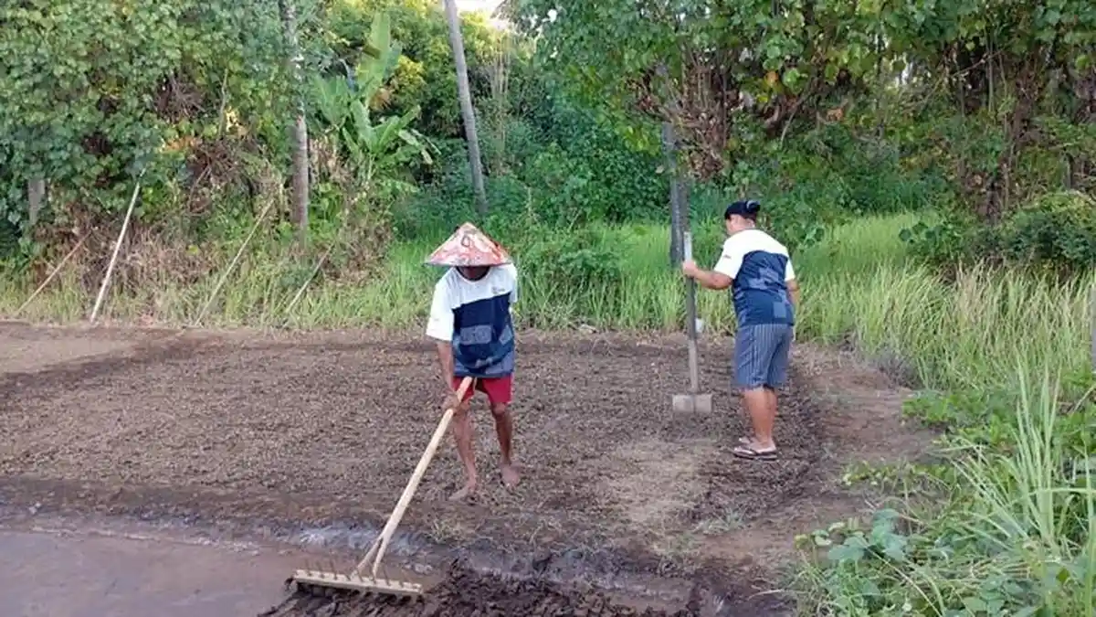 Lestarikan Alam dan Tradisi, PT Astra International Tbk Berdayakan Warga DSA Desa Les Bali - Tribunlampung.co.id