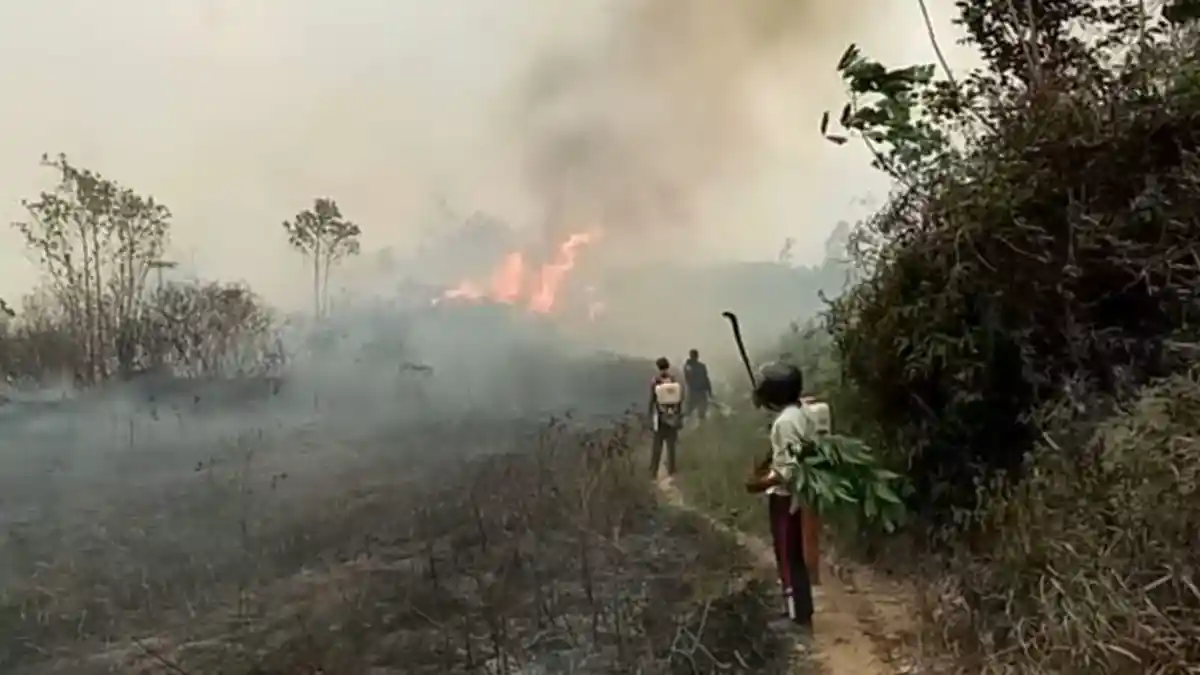 Api Kembali Menyala di Sarolangun, Banyak Lahan Warga Habis Terbakar