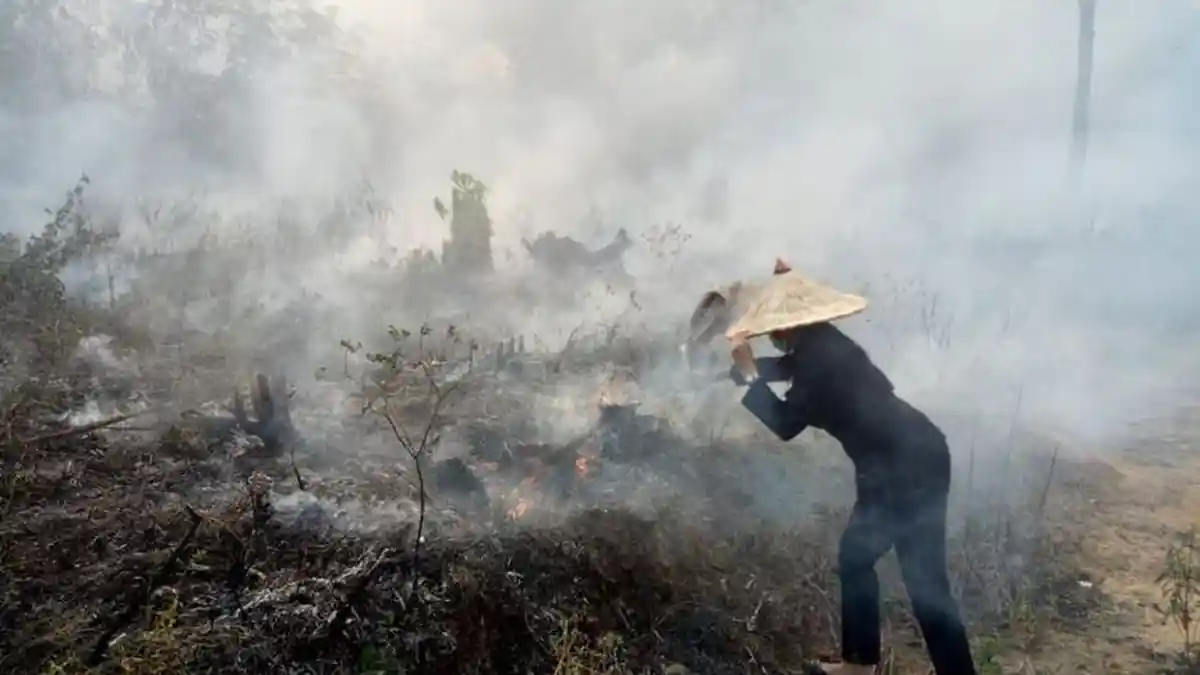 Bupati Cantik Karolin Pimpin Pemadaman Kebakaran Hutan, Begini Ceritanya