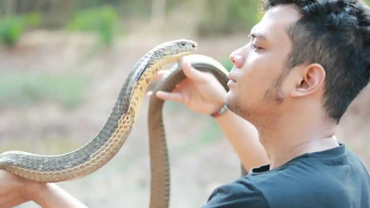 Kondisi Kru Panji Petualang yang Apes Digigit Ular Berbisa Mematikan, Begini Kabarnya Sekarang