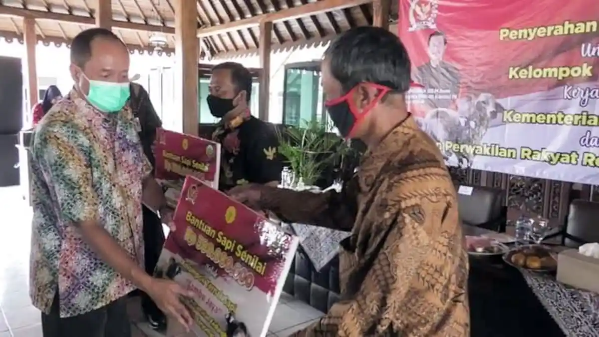 Dua Kelompok Ternak Dapat Bantuan Masing-Masing 20 Sapi Potong, Ini Kata Wakil Bupati Banyumas