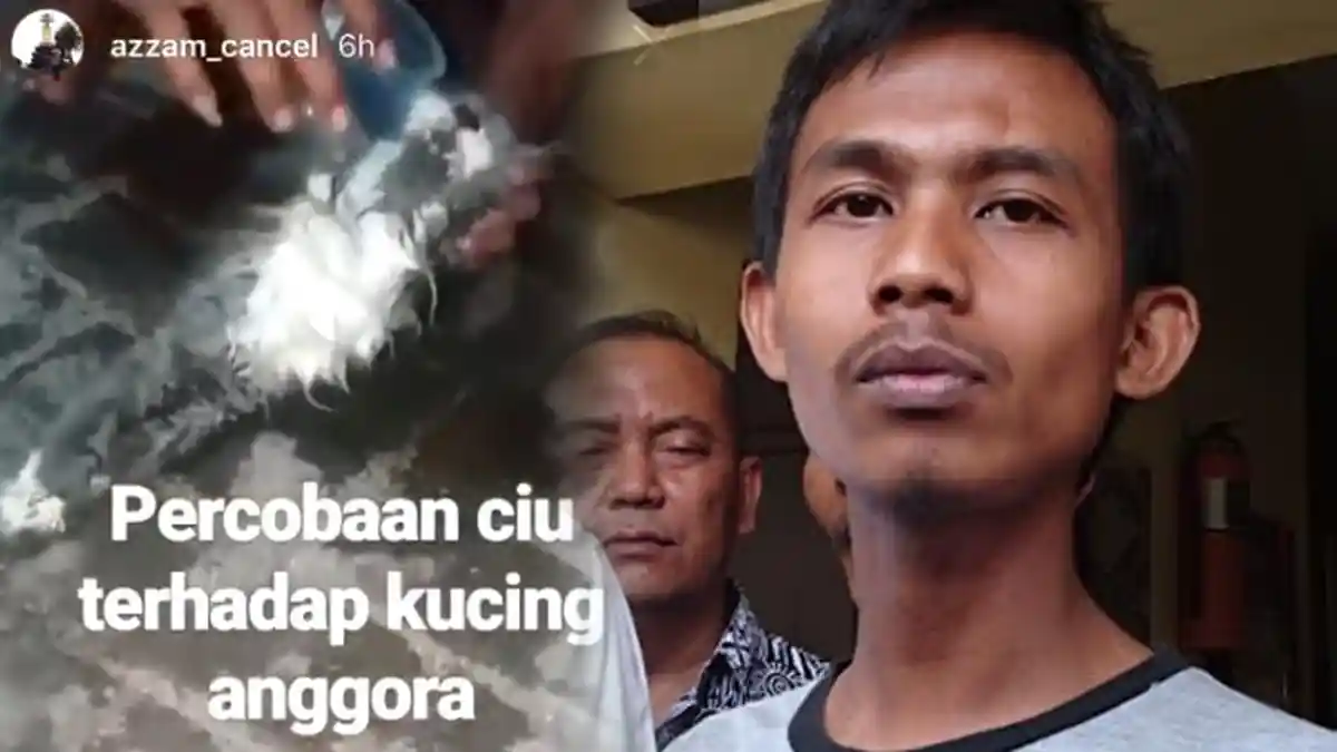 Pengakuan Izam, Pengunggah Video Kucing Dicekoki Miras yang Viral di Instagram, Cuma Demi Follower