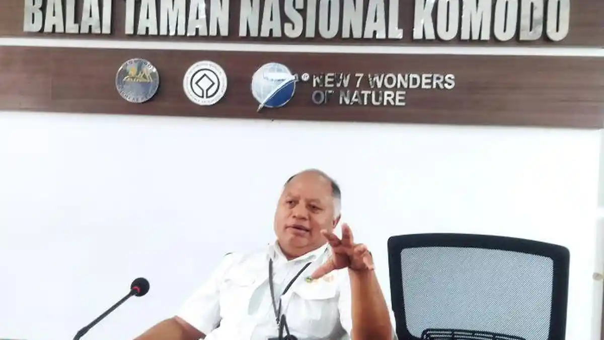 Romansyah Digigit Komodo di Zona Inti, Jarang Dikunjungi Manusia, Komodo Lebih Sensifitf