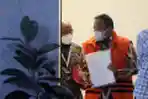 Pemeriksaan Lanjutan Dodi Reza Alex
