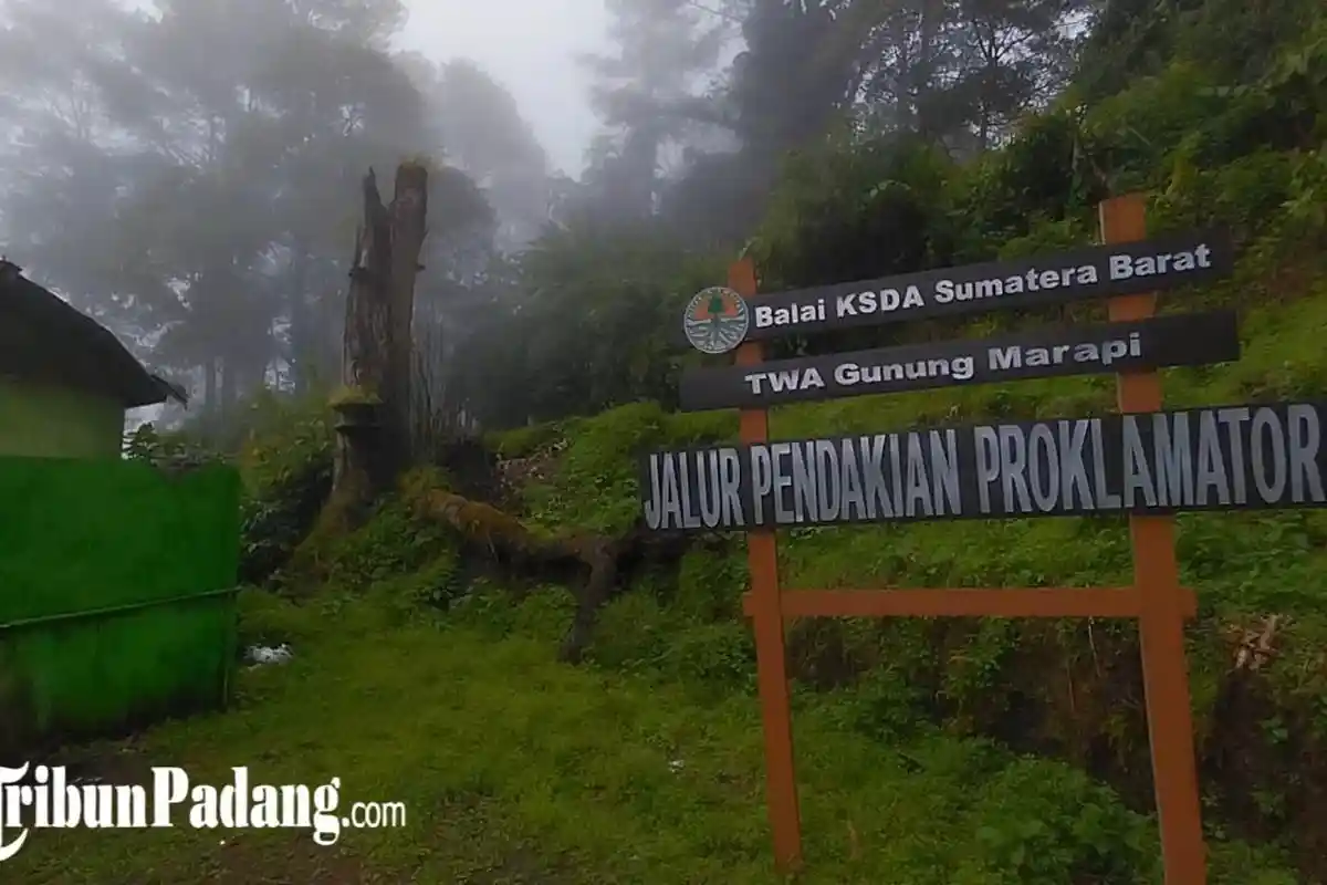 Momen Nataru 2023, BKSDA Sumbar Tutup Pendakian ke Gunung Marapi, Singgalang, Tandikat, dan Sago