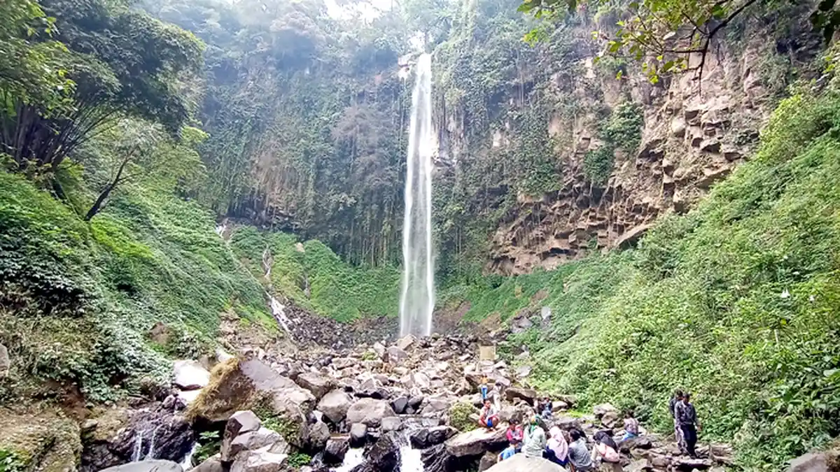 Sulit Cari Pakan, Begini Langkah Pengelola Grojogan Sewu agar Kera Tidak Lari ke Pemukiman Warga