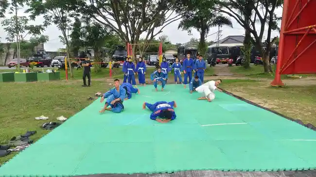 Tribun