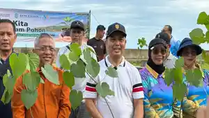 pohon-strategis-di-kawasan-Pantai-Camar.jpg