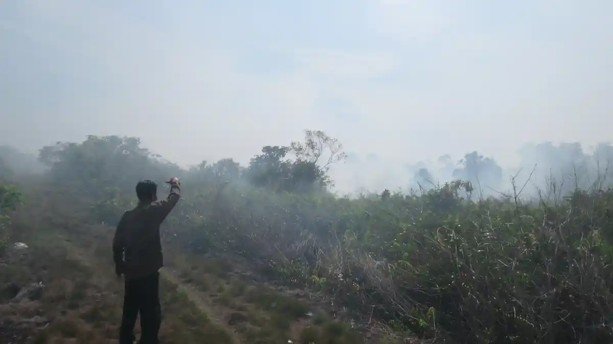 Kebakaran Hutan dan Lahan Mulai Mendekati Pemukiman Penduduk di Suak Raya Aceh Barat