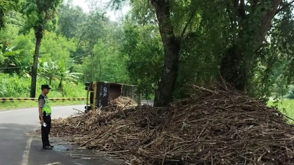 Truk Terguling di Jalur Blitar - Malang, Hamburan Muatan Tebu buat Arus Buka Tutup