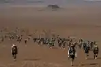 Potret Marathon Des Sables, Balap Lari Terganas di Bumi