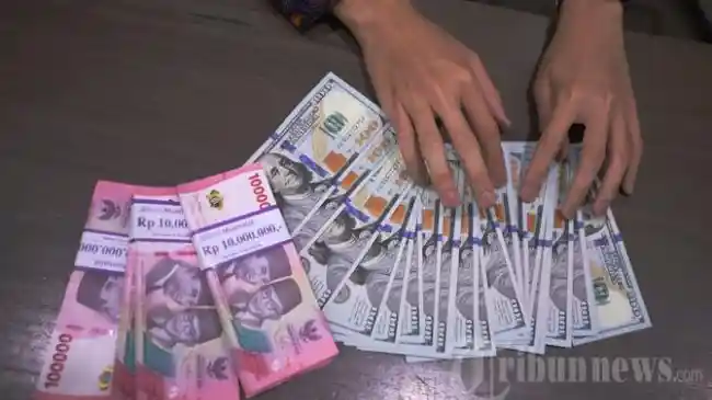 Tribun