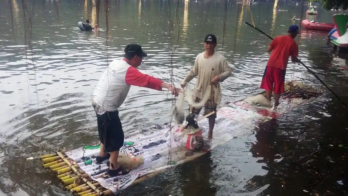 Warga Naik Sampan Sambil Bawa Jala, Tradisi 'Ngubek Situ Gede' Jadi Ajang Cucurak